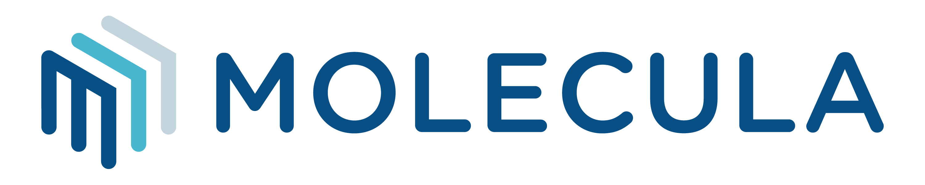 Molecula logo